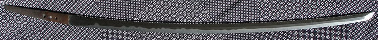 Juyo Bizen Ichimonji tachi sugata