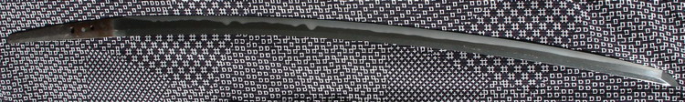 Juyo Bizen Ichimonji tachi sugata