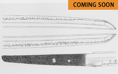 Bizen Ichimonji tachi hold